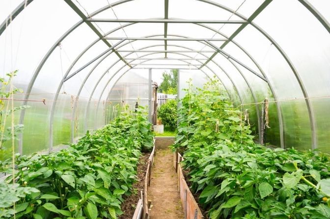 How large AWG air water generators make farming more resilient to drought